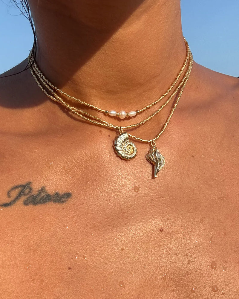 New ! Apsara SHELL choker