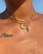 New ! Apsara SHELL choker