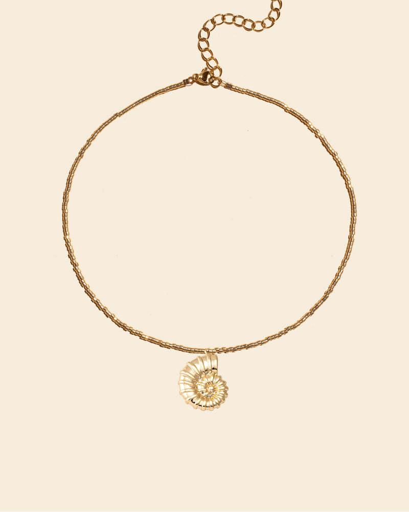 New ! Apsara SHELL choker